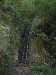 The climb up Putucusi is one of the most difficult in the MP sanctuary