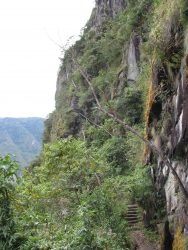  The steps to the Temple of the Moon at Huayna Picchu are hidden among the jungle